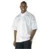 Veste Chef manches courtes Coolvent