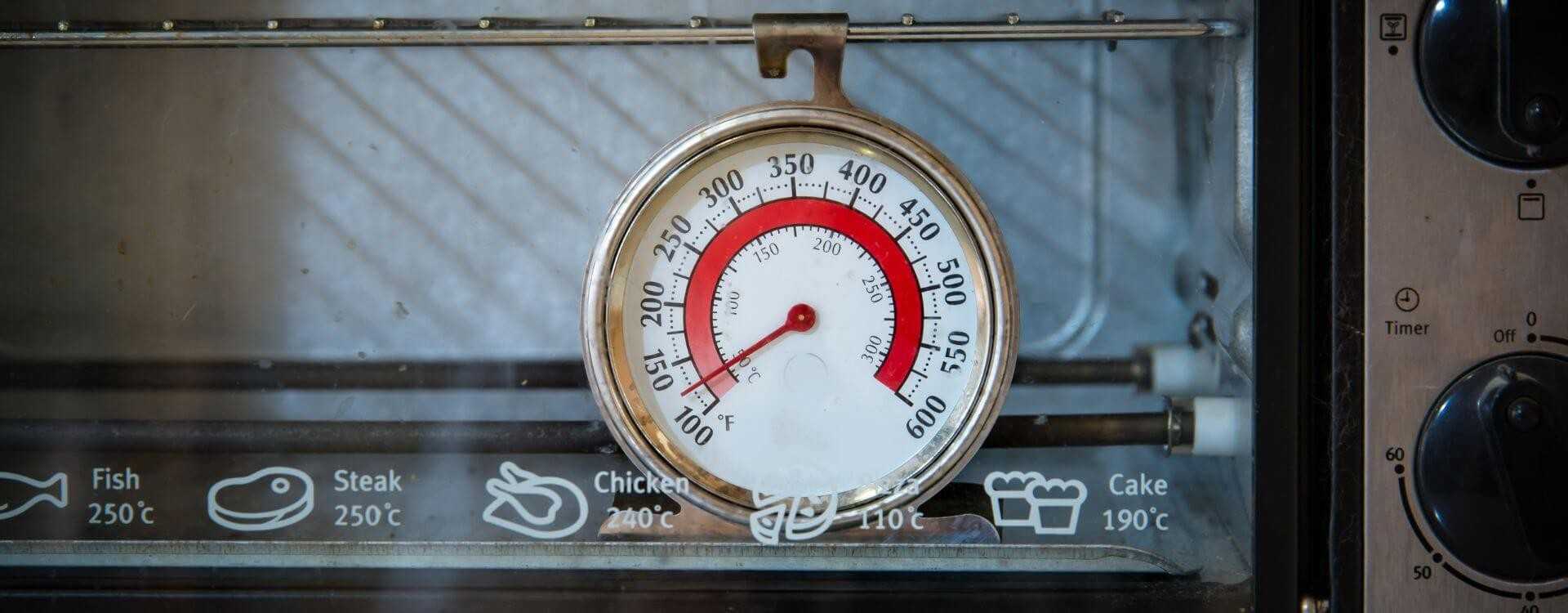 Thermomètre four four à pizza jauge de température pour fours à pizza  cuisinière